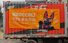 区块链赋能公益新生态：Broccoli714以科技之力为流浪动物点亮希望